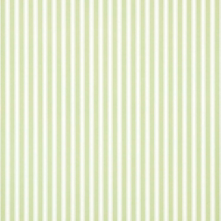 New Tiger Stripe-behang-Tapete-Sanderson-Green/Ivory-Rol-DCAVTP103-Selected Wallpapers