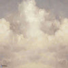 Nubem-behang-Pierre Frey-Original-Set-FP424001-Selected Wallpapers