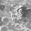 Nuvolette-wallpaper-Cole & Son-Black & White-Set-114/28054-Selected Wallpapers