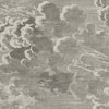 Nuvolette-wallpaper-Cole & Son-Metallic Gilver & Charcoal-Set-14/2004-Selected Wallpapers