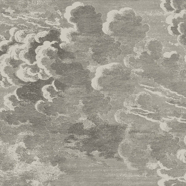 Nuvolette-wallpaper-Cole & Son-Metallic Gilver & Charcoal-Set-14/2004-Selected Wallpapers