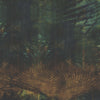 Oasis-Tapete-Glamora-1B-GlamDecor-GLNA121B-Selected Wallpapers