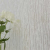 Obi-Tapete-Designers Guild-Selected Wallpapers