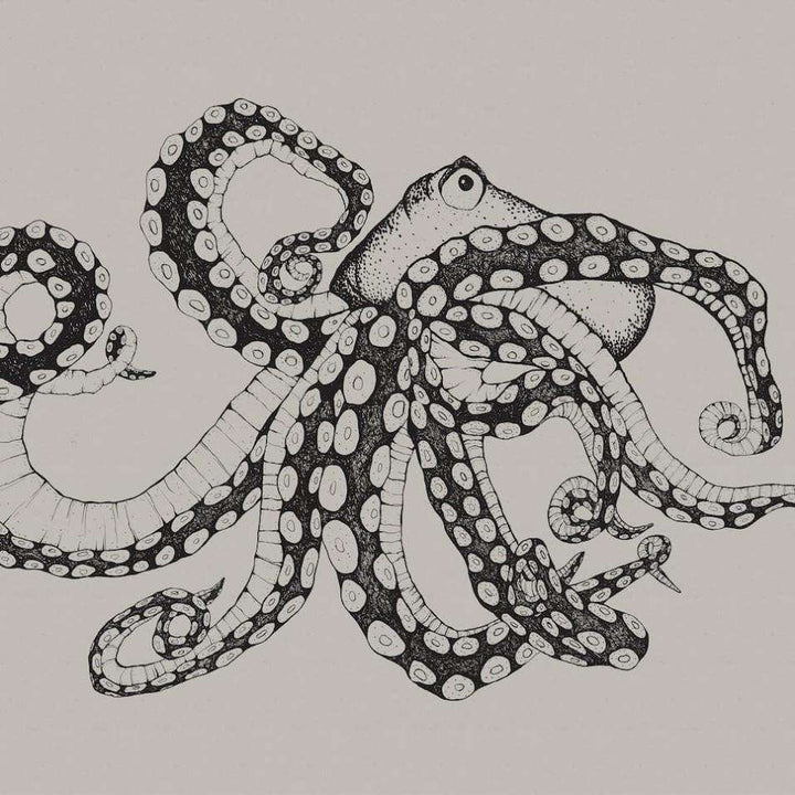 Octopus X-Ray-Behang-Tapete-Coordonne-Ink-Non Woven-9500800-Selected Wallpapers