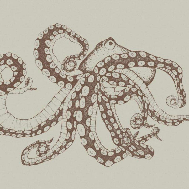 Octopus X-Ray-Behang-Tapete-Coordonne-Papirus-Non Woven-9500801-Selected Wallpapers