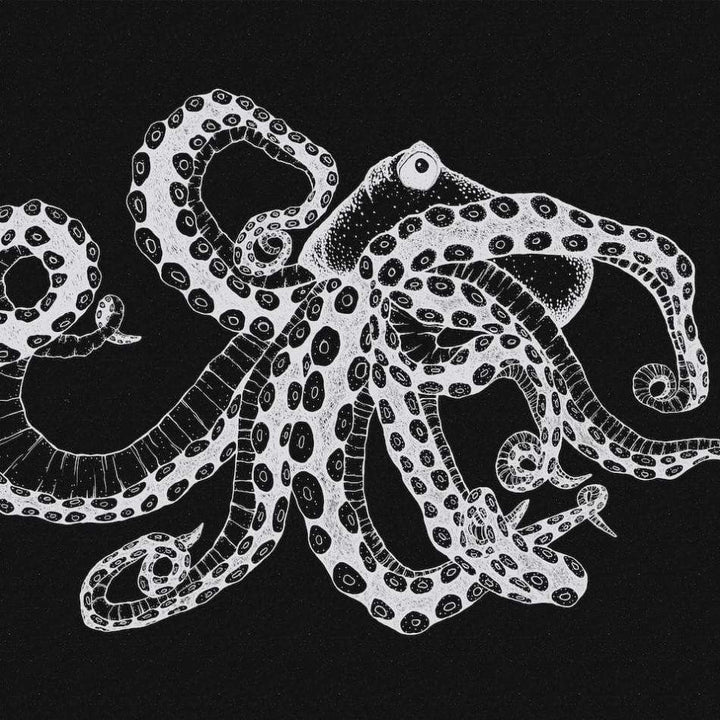 Octopus X-Ray-Behang-Tapete-Coordonne-Black-Non Woven-9500802-Selected Wallpapers