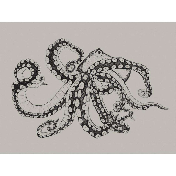 Octopus X-Ray-Behang-Tapete-Coordonne-Selected Wallpapers