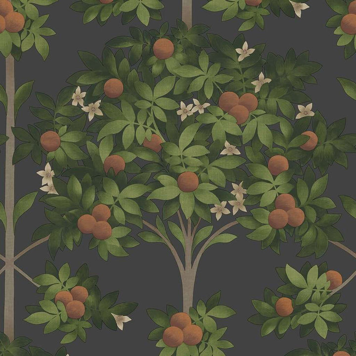 Orange Blossom-behang-Tapete-Cole & Son-Black-Rol-117/1003-Selected Wallpapers