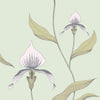 Orchid-behang-Cole & Son-Chalk & Sand-Rol-66/4028-Selected Wallpapers