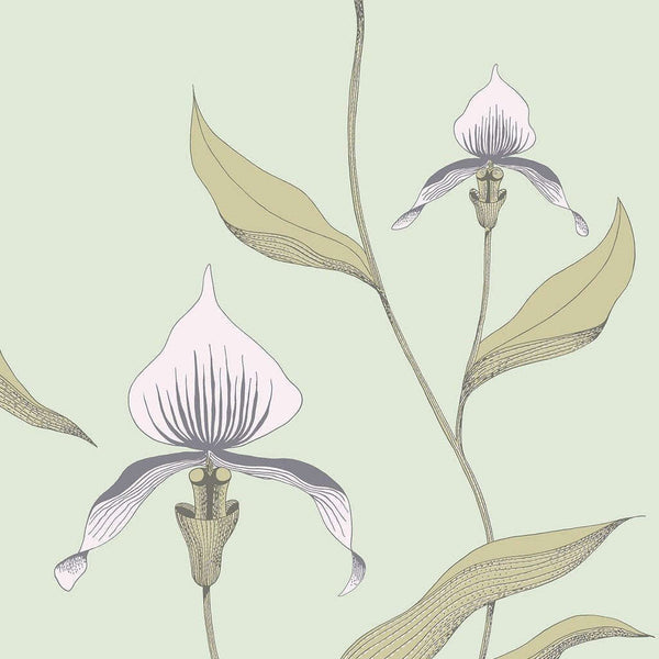 Orchid-behang-Cole & Son-Chalk & Sand-Rol-66/4028-Selected Wallpapers