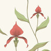 Orchid-behang-Cole & Son-Rouge & Olive-Rol-95/10054-Selected Wallpapers