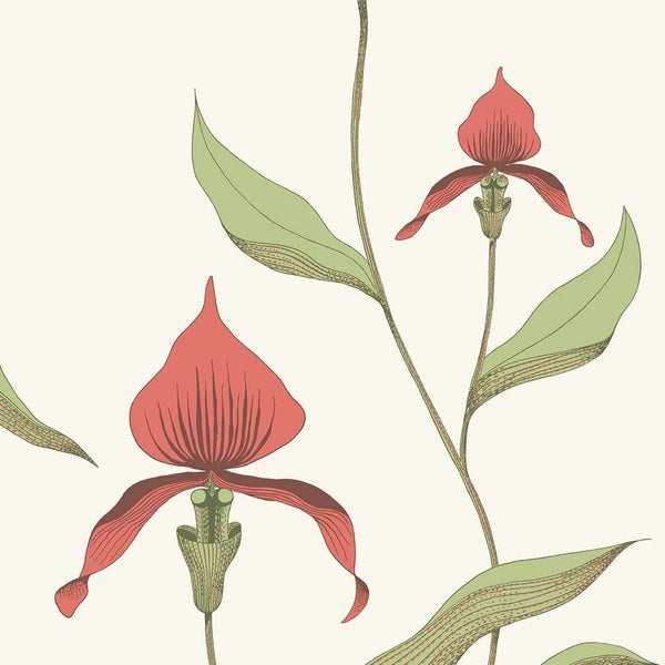Orchid-behang-Cole & Son-Rouge & Olive-Rol-95/10054-Selected Wallpapers