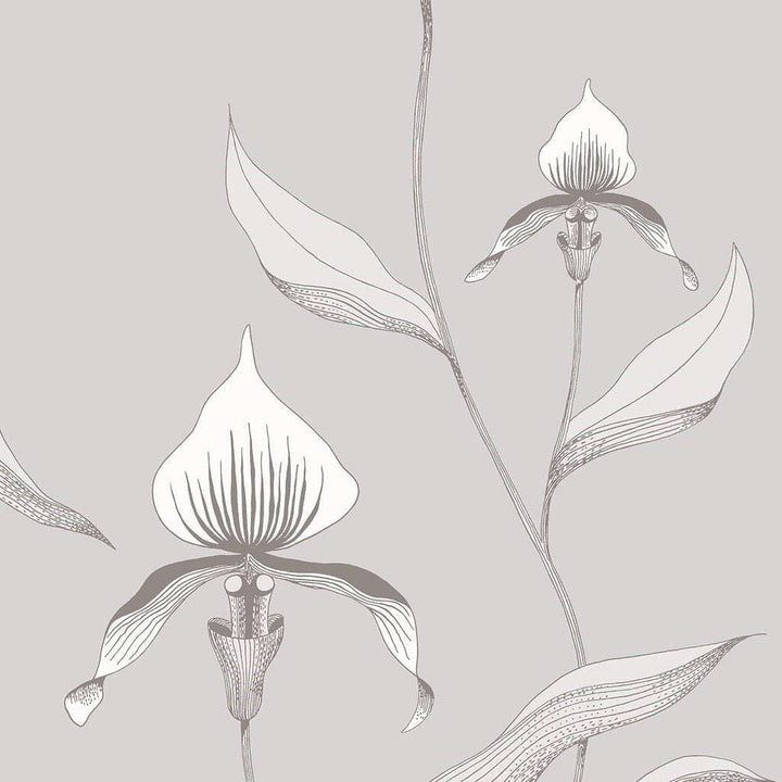 Orchid-behang-Tapete-Cole & Son-White & Dove-Rol-95/10055-Selected Wallpapers