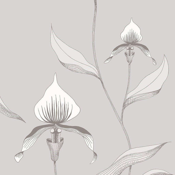 Orchid-behang-Cole & Son-White & Dove-Rol-95/10055-Selected Wallpapers