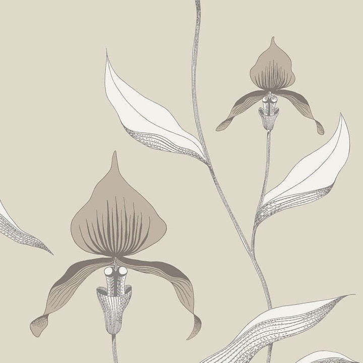 Orchid-behang-Tapete-Cole & Son-Taupe & Parchment-Rol-95/10058-Selected Wallpapers