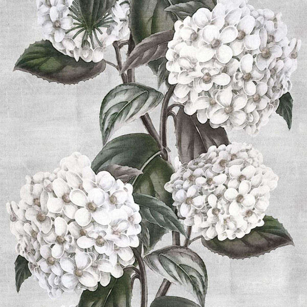 Ortensia-behang-LondonArt-Selected Wallpapers
