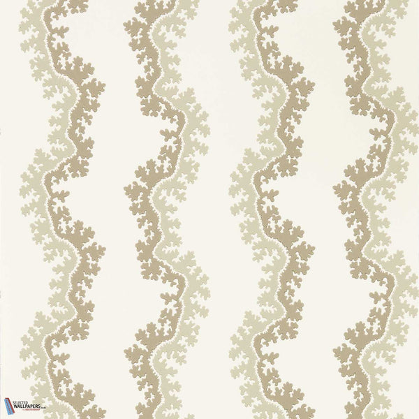 Oxbow-Behang-Sanderson-Birch-Rol-217249-Selected Wallpapers
