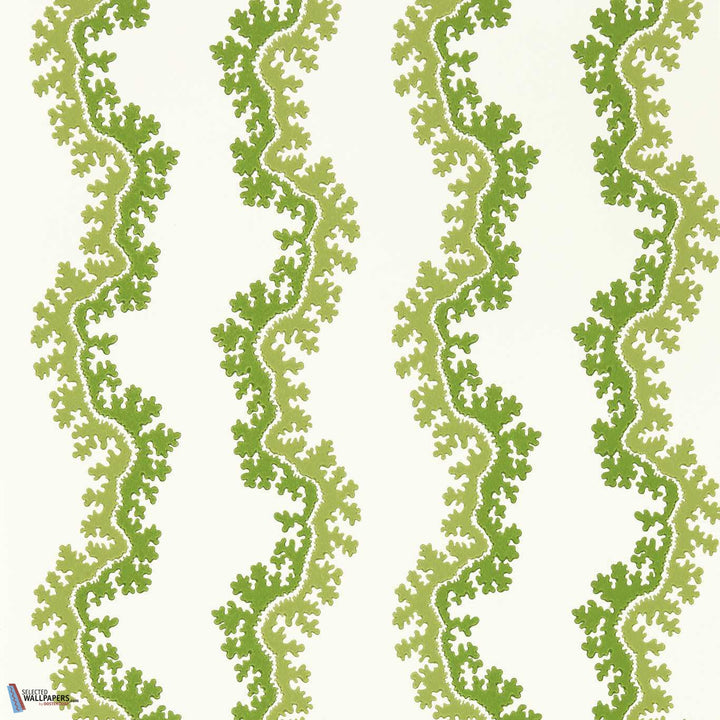 Oxbow-Behang-Tapete-Sanderson-Sape Green-Rol-217251-Selected Wallpapers