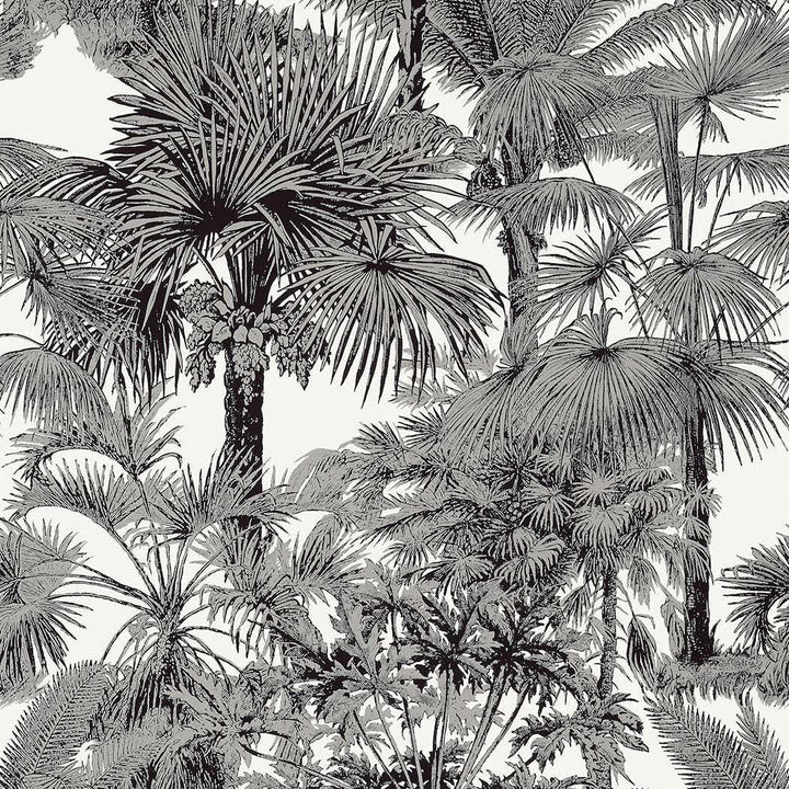 Palm Botanical-Behang-Tapete-Thibaut-Black-Rol-T10102-Selected Wallpapers