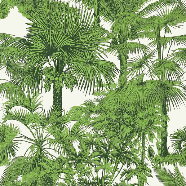 Palm Botanical-Behang-Thibaut-Emerald Green-Rol-T10103-Selected Wallpapers