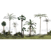 Palma-behang-Les Dominotiers-Selected Wallpapers