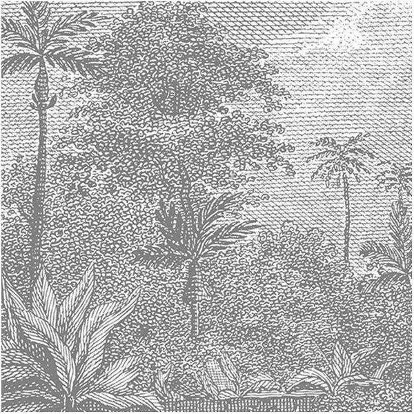Palmar-behang-Les Dominotiers-Grey-Non Woven 70 cm-DOM308-Selected Wallpapers