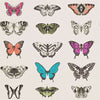 Papilio-behang-Harlequin-Flamingo/Papaya-Rol-111079-Selected Wallpapers