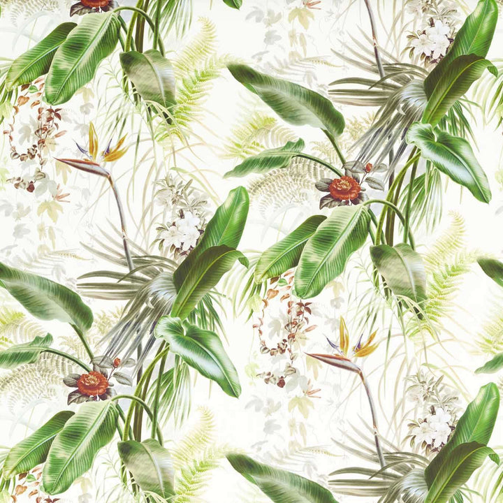 Paradise Row-behang-Tapete-Zoffany-Evergreen-Meter (M1)-312989-Selected Wallpapers