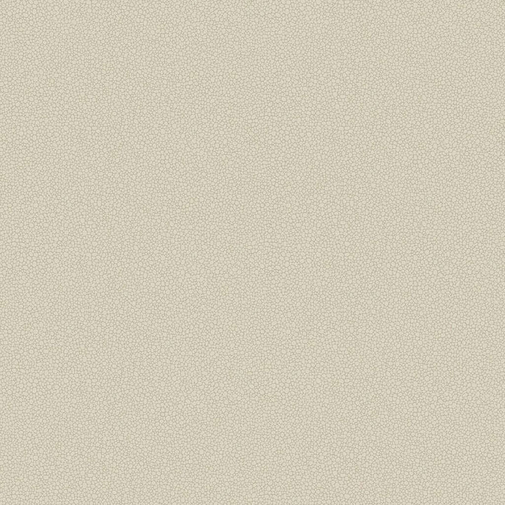 Pebble-Behang-Tapete-Cole & Son-Stone-Rol-106/2022-Selected Wallpapers