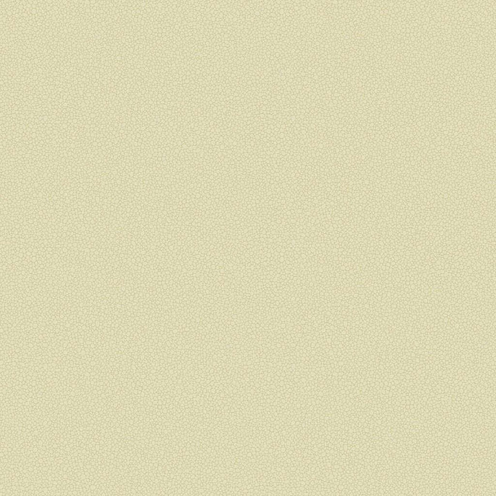 Pebble-Behang-Tapete-Cole & Son-Cream-Rol-106/2023-Selected Wallpapers