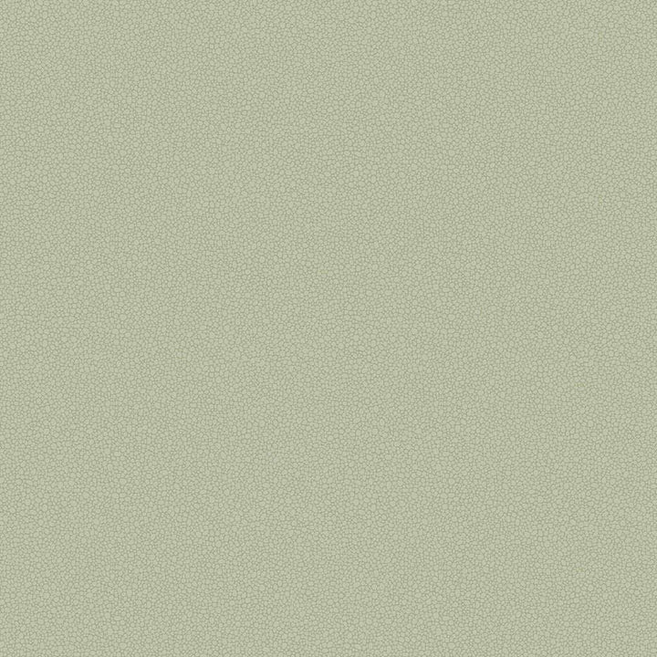 Pebble-Behang-Tapete-Cole & Son-Soft Olive-Rol-106/2027-Selected Wallpapers