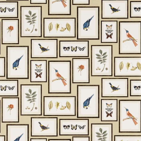 Picture Gallery-wallpaper-Sanderson-Sand/Multi-Roll-213399-Selected Wallpapers