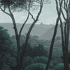 Pine Trees-behang-Les Dominotiers-Original-Non Woven 70 cm-DOM1510-Selected Wallpapers