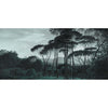 Pine Trees-behang-Les Dominotiers-Selected Wallpapers