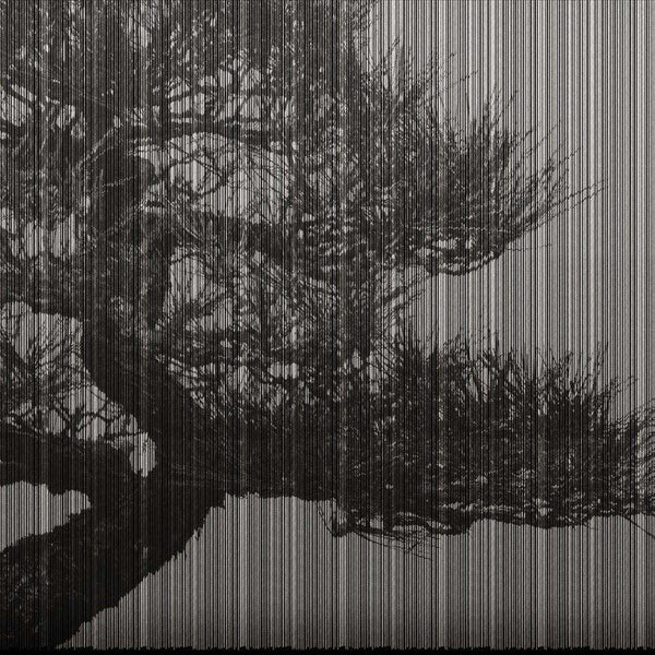Plague-behang-LondonArt-Selected Wallpapers