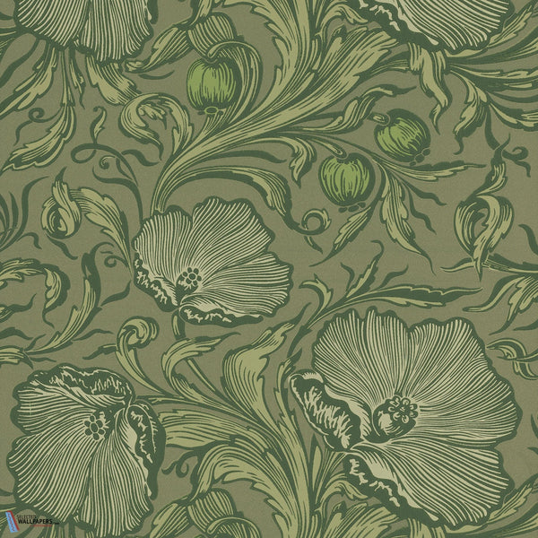 Poppy Trail-wallpaper-Little Greene-Sage Green-Roll-0263PTSAGEG-Selected Wallpapers