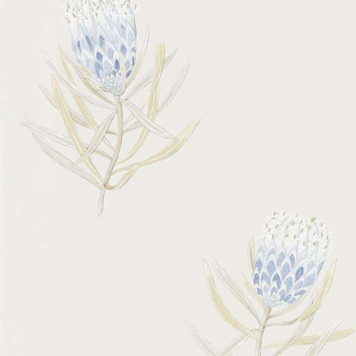Protea Flower-behang-Tapete-Sanderson-China Blue-Rol-216327-Selected Wallpapers