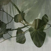 Quisisana-behang-Glamora-1A-GlamFusion-GLF881A-Selected Wallpapers