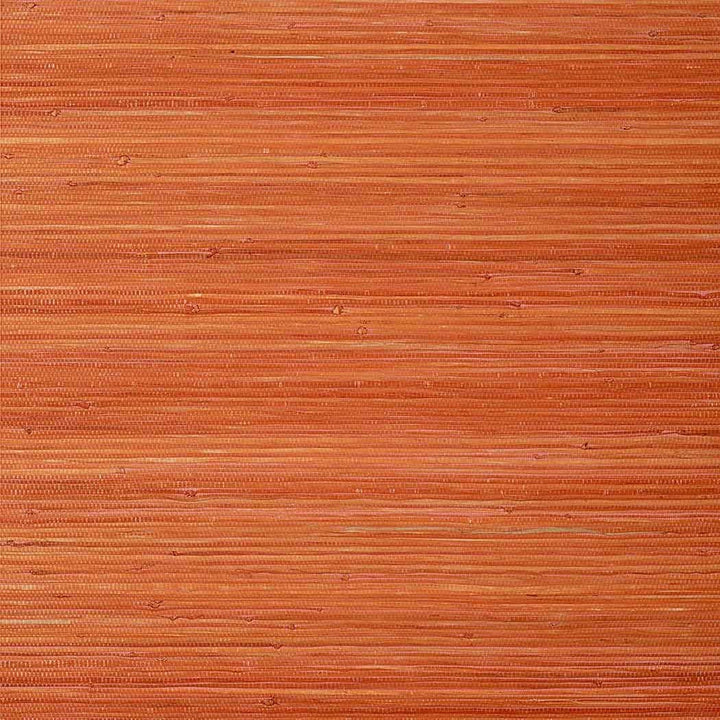 Raffia Palm-Behang-Tapete-Thibaut-Orange-Rol-T24072-Selected Wallpapers