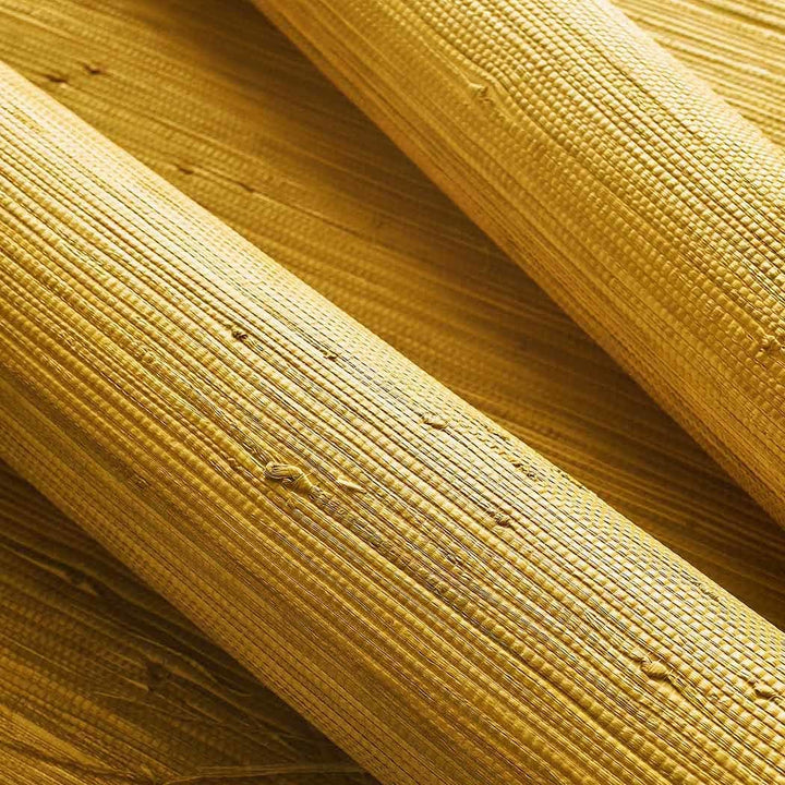 Raffia Palm-Behang-Tapete-Thibaut-Selected Wallpapers