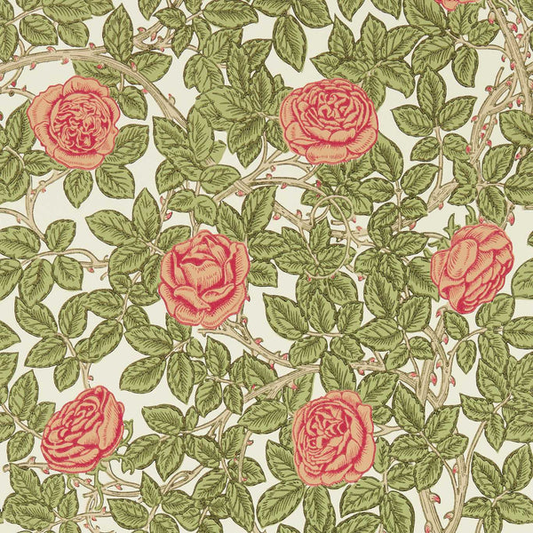 Rambling Rose-wallpaper-Morris & Co-Twining Vine-Roll-217207-Selected Wallpapers