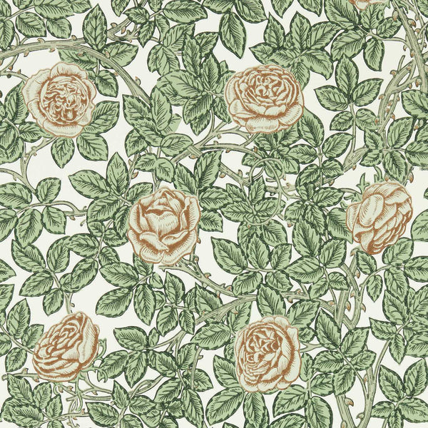 Rambling Rose-wallpaper-Morris & Co-Arbour/Pearwood-Roll-217208-Selected Wallpapers