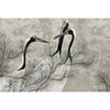 Red Crest-behang-Les Dominotiers-Selected Wallpapers