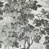 Richmond Park-behang-Zoffany-Charcoal-Rol-310059-Selected Wallpapers