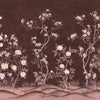 Romance-Behang-Presence-Off-Silk Vinyl-PS101/04-Selected Wallpapers