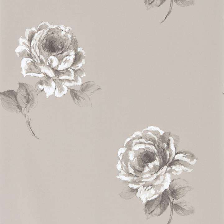 Rosa-behang-Tapete-Sanderson-Silver-Rol-216279-Selected Wallpapers
