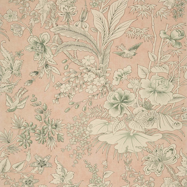 Rosalind-Behang-Thibaut-Blush-Rol-T13600-Selected Wallpapers