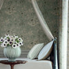 Rosalind-Behang-Thibaut-Selected Wallpapers