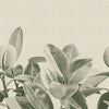 Rubber Plant-behang-LondonArt-01-RAW-S120-Selected Wallpapers