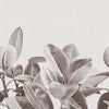 Rubber Plant-behang-LondonArt-02-RAW-S120-Selected Wallpapers